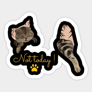 Not today - Sleeping Cat Sticker